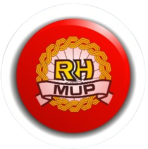 Red Button - cyberbullying